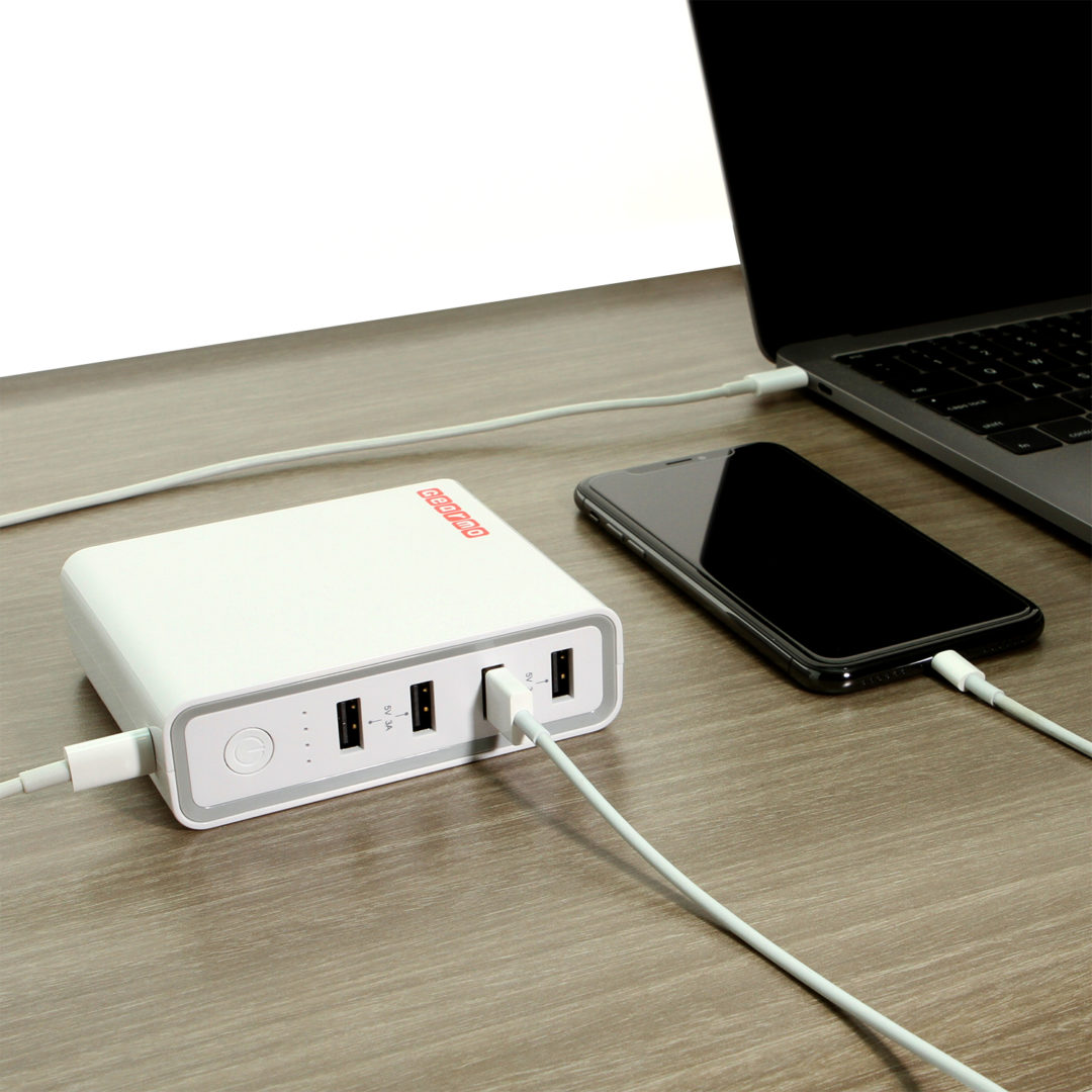 powerbank type c input output